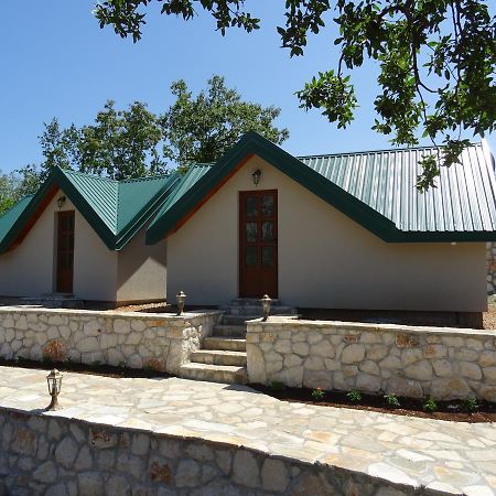 Apartmani Vinici Danilovgrad 외부 사진
